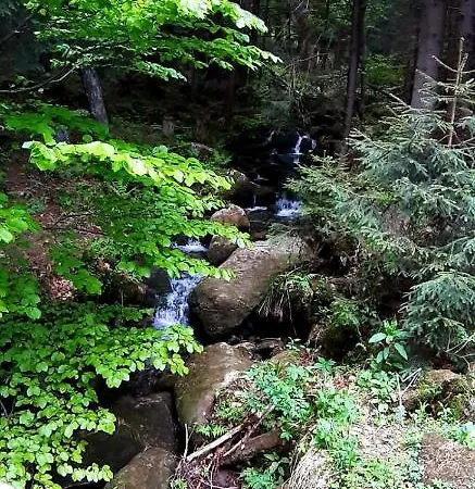 Saneczkowa3.10 Appartement *