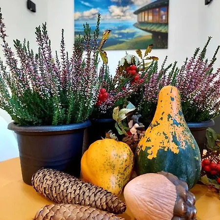 Apartmán Saneczkowa3.10 *