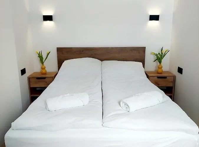 Saneczkowa3.10 * 카르파츠