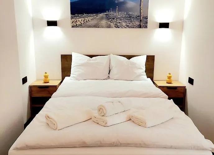 Saneczkowa3.10 * 카르파츠