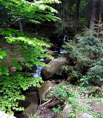 Saneczkowa3.10 Apartament *