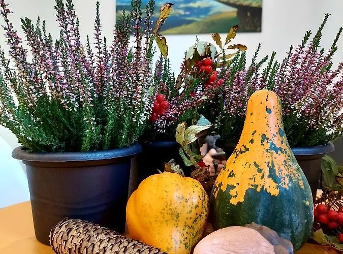 아파트 Saneczkowa3.10 *